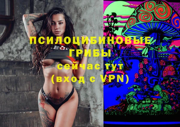 стафф Алексеевка