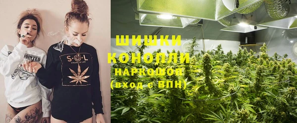 spice Алзамай